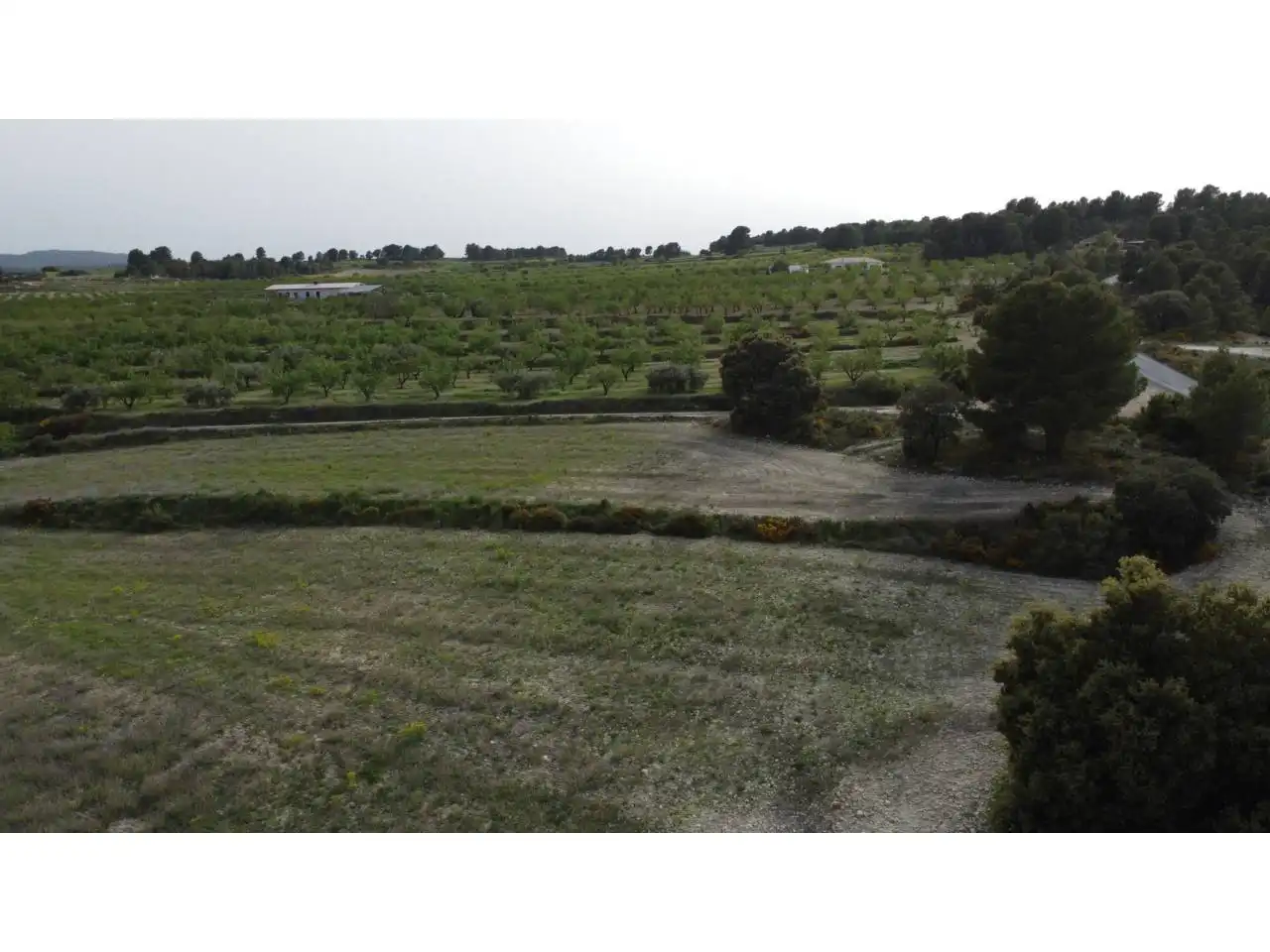 Terreno residencial en venta en Caravaca de la Cruz, imagen 23