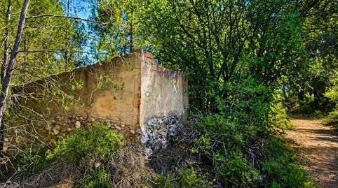 Photo 3 of Land for sale in Bellús, Valencia
