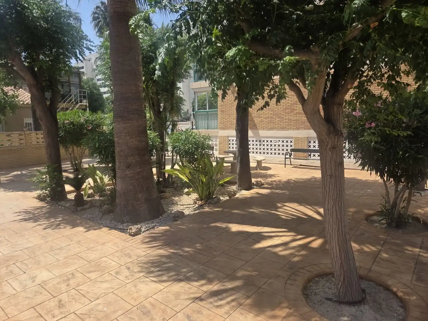 Terrace of Study for rent in Alicante / Alacant  with Heating, Terrace and Furnished