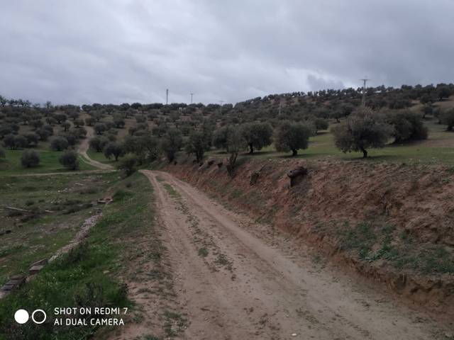 Terreno residencial en Venta en Calle Rosa Regas, 11 en La Malahá