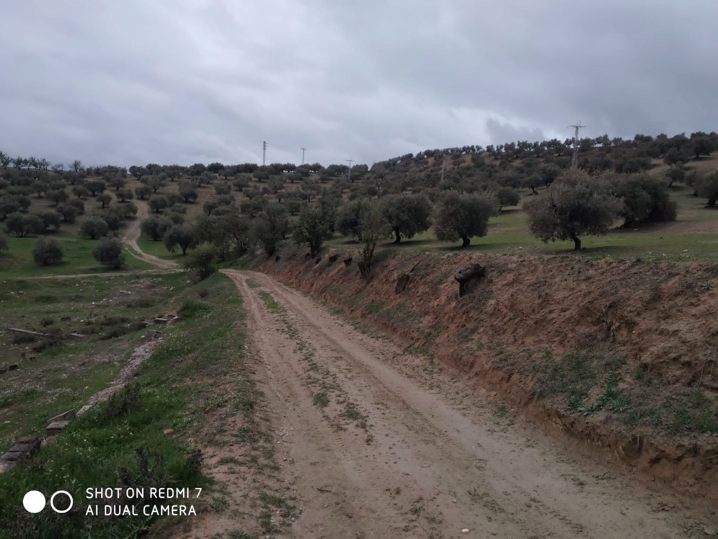 Residential for sale in La Malahá