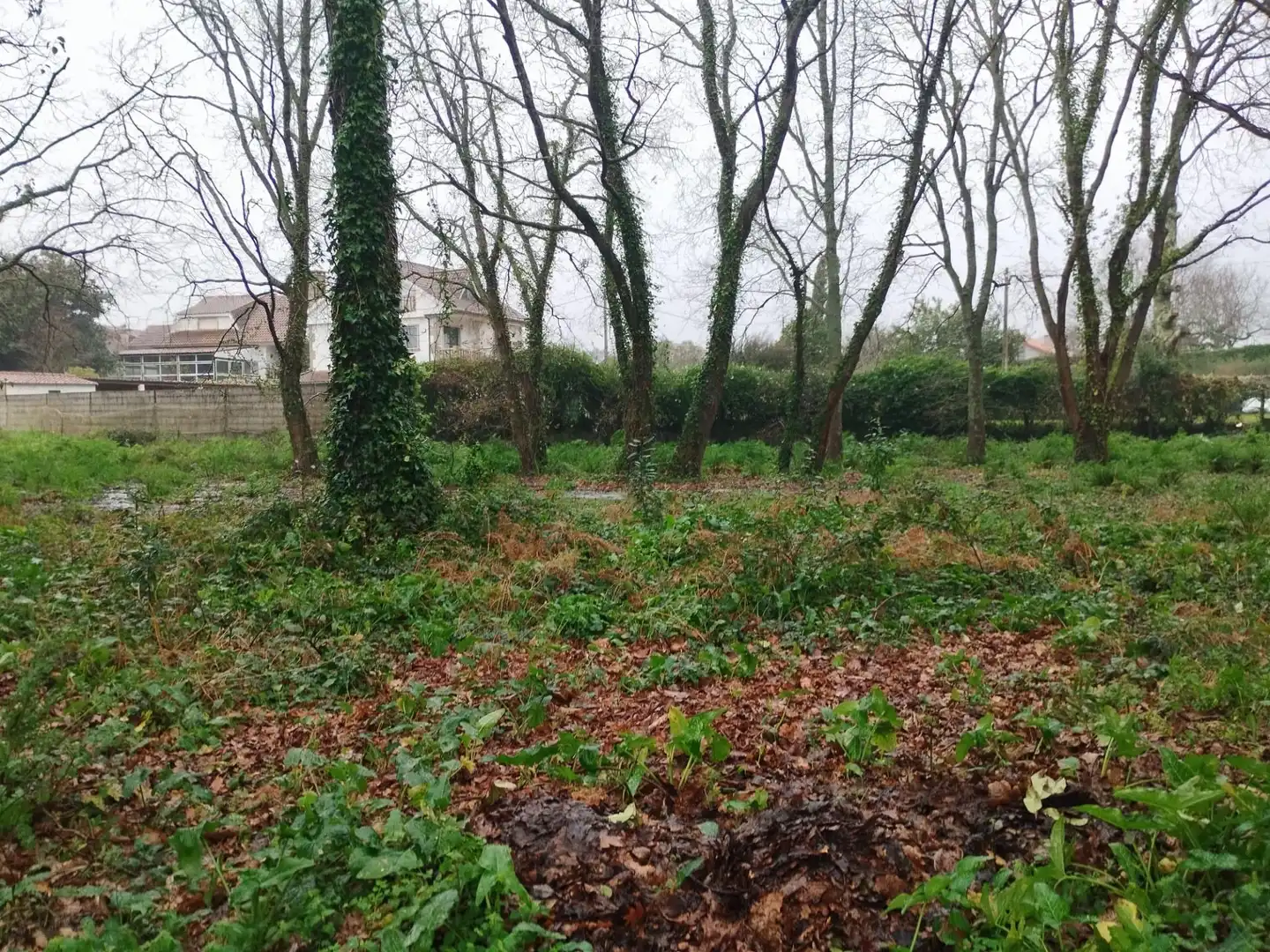 Terreno en venta en Tomiño