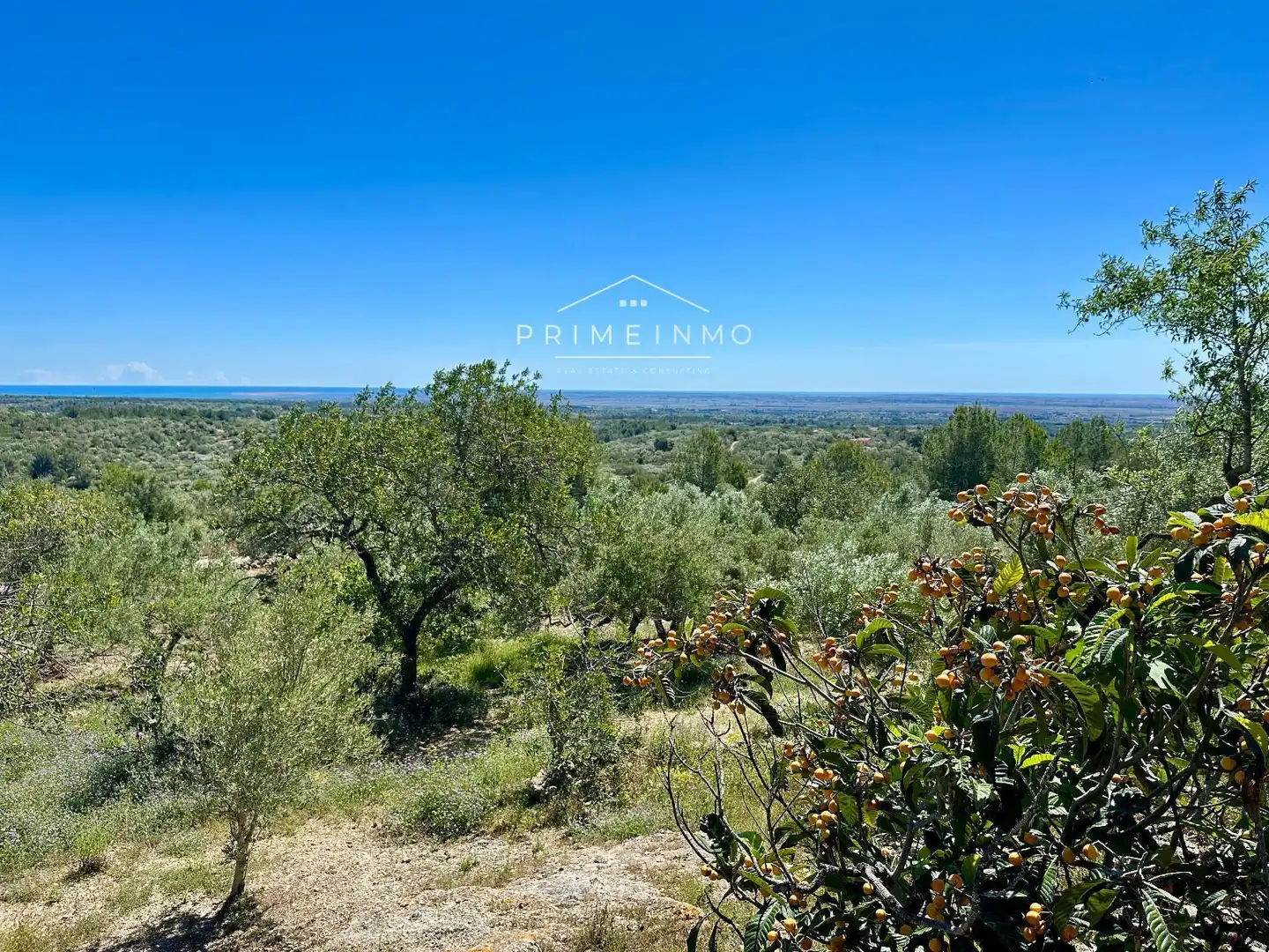 Finca rústica en venta en Tortosa con Calefacción, Terraza y Trastero