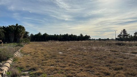Foto 5 de Terreno en venta en La Foia - Daimés - Asprella, Elche / Elx