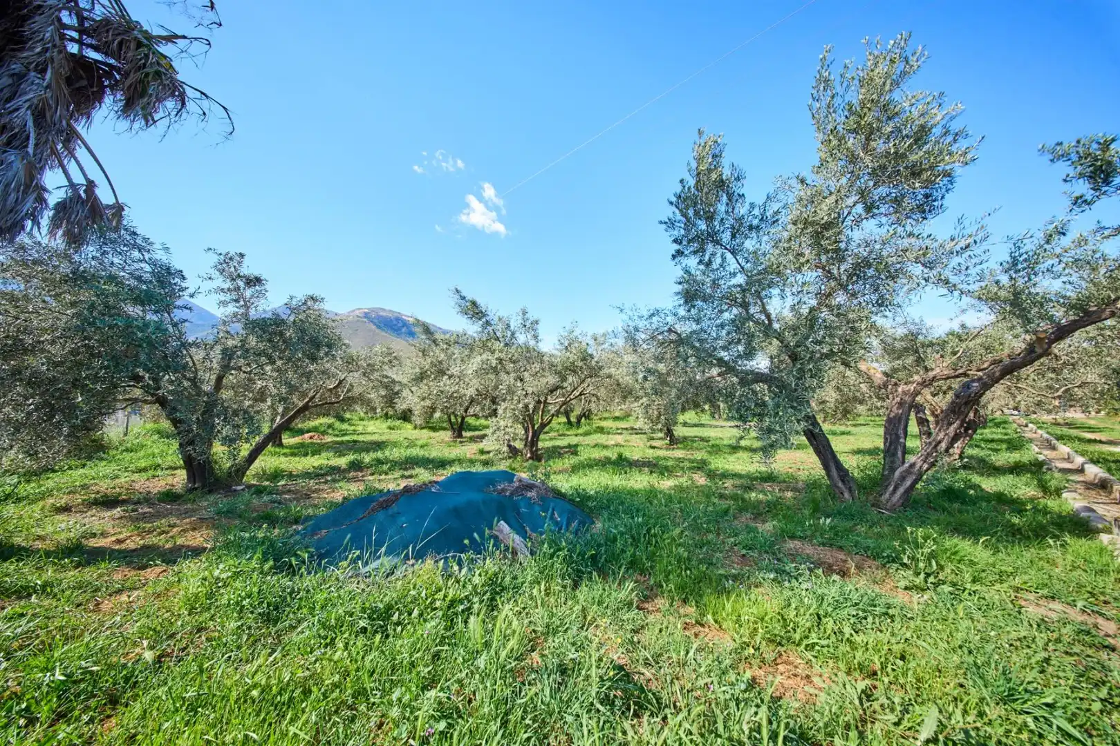 Casa rustica con giardino in vendita a Camino de la Vegueta, imagen 50