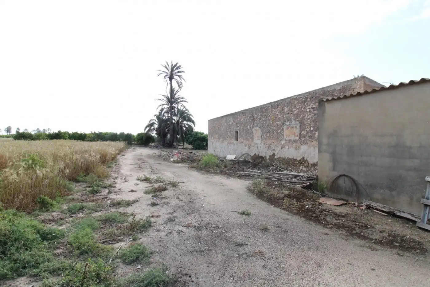 Villa con giardino in vendita a La Foia - Daimés - Asprella, imagen 37