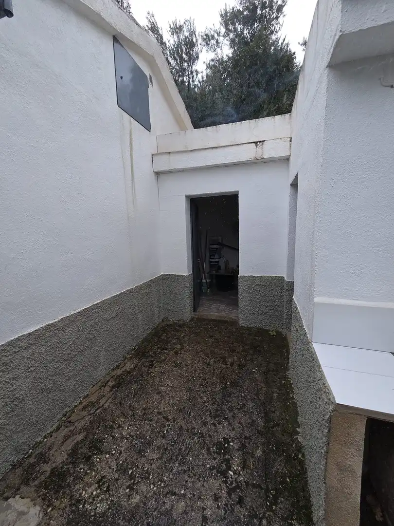 Finca rústica en venta en Jaén
