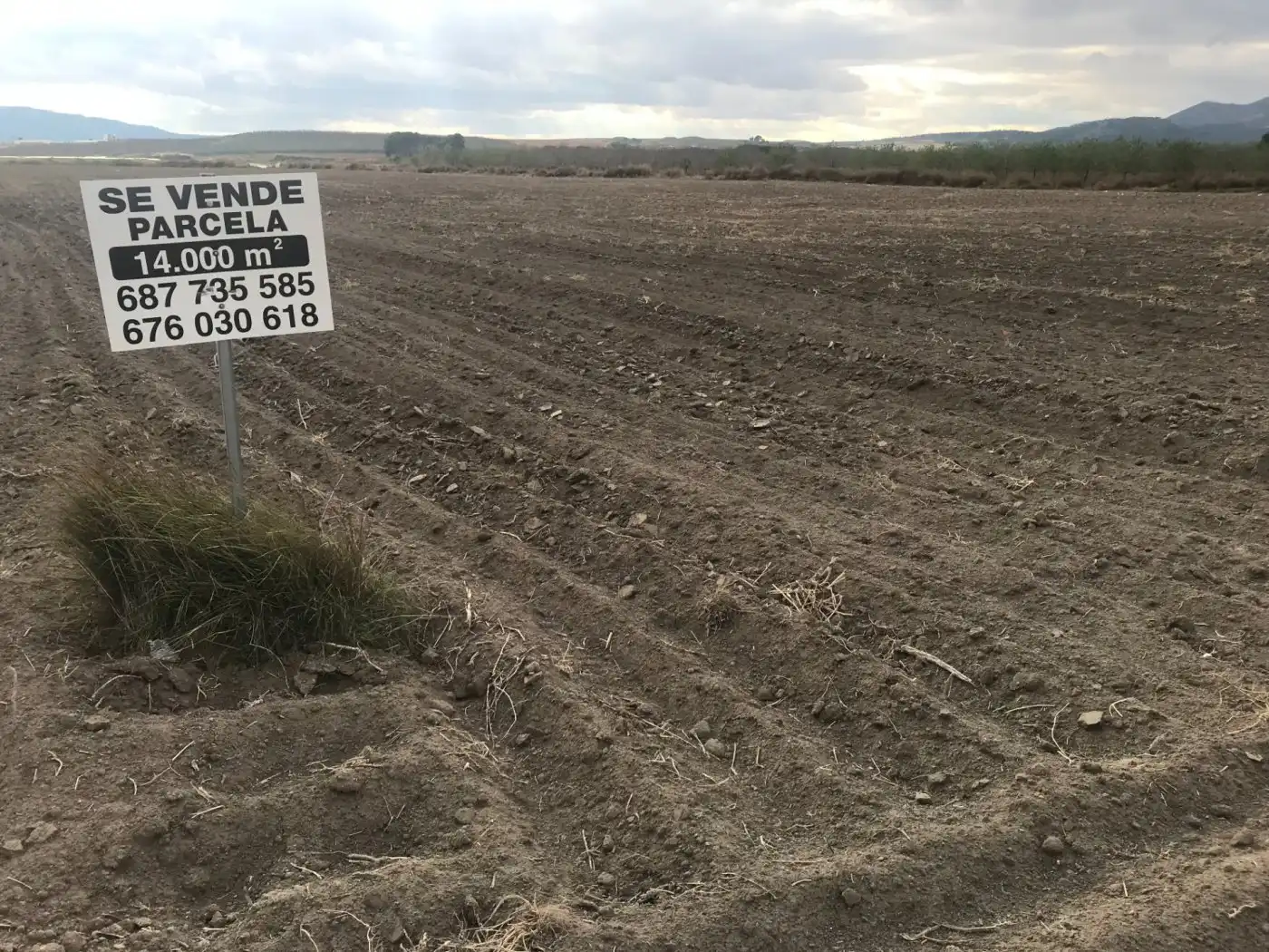 Grundstücke zum Verkauf in Villena