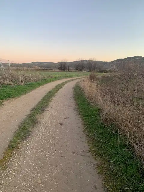 Terreno rustico in vendita a Vial Camino 130, imagen 4
