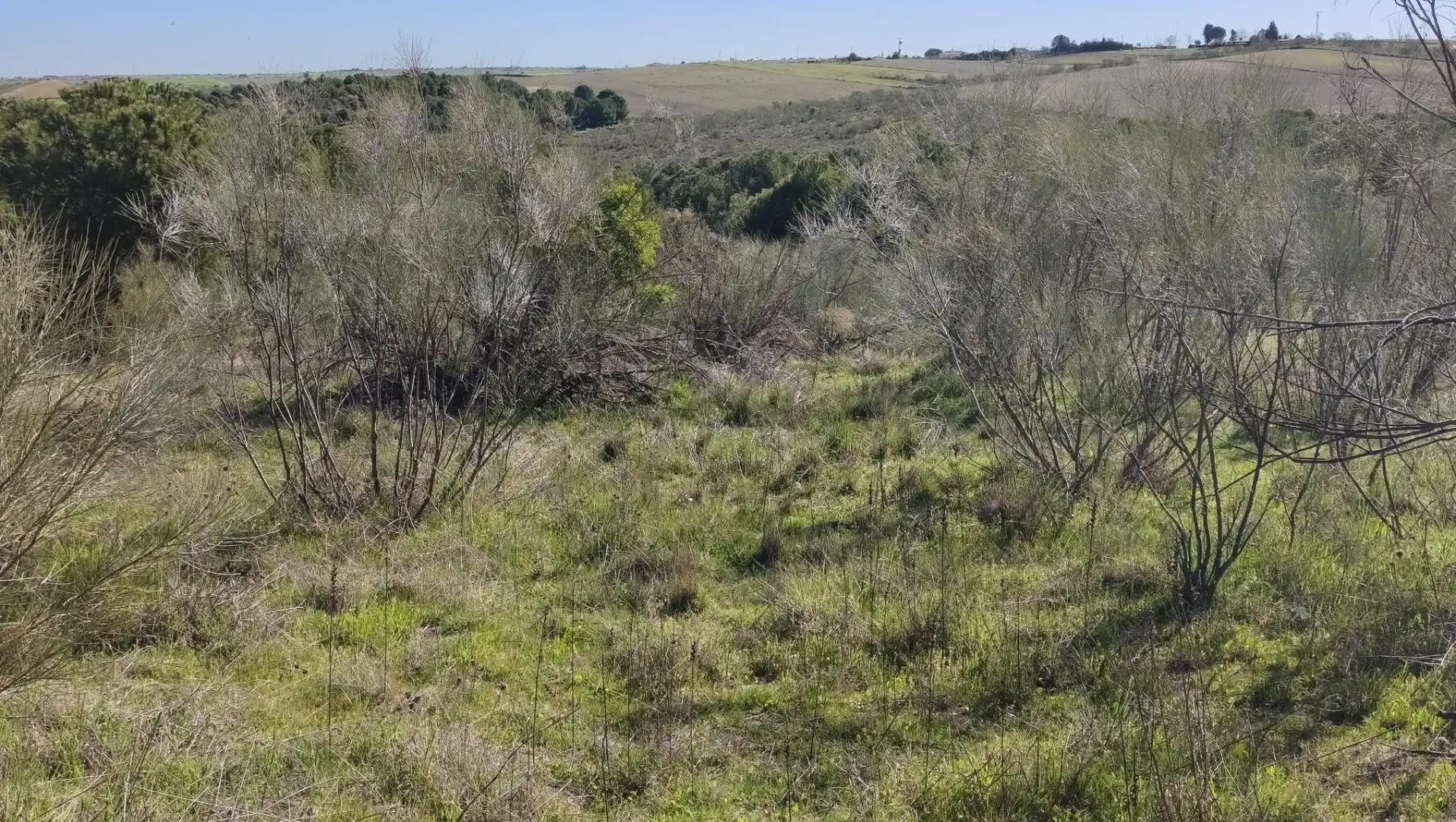 Grundstücke zum Verkauf in El Viso de San Juan