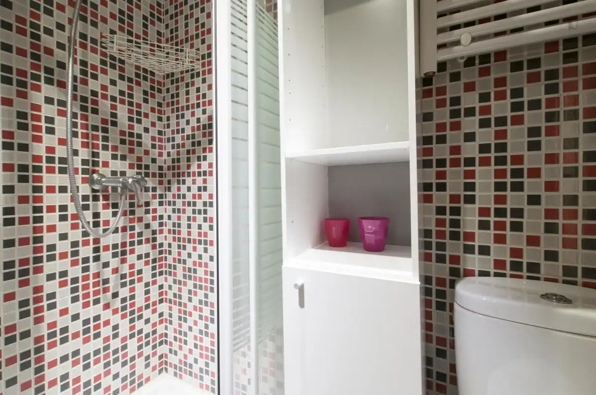 Room in Embajadores - Lavapiés