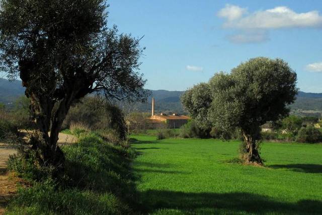 Finca rústica en Venta en Forallac