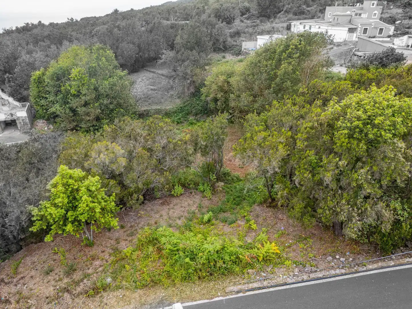 Land for sale in El Tanque