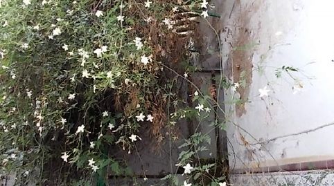 Foto 5 de Casa o chalet en venta en Cl Juan Carlos I, La Parra, Badajoz