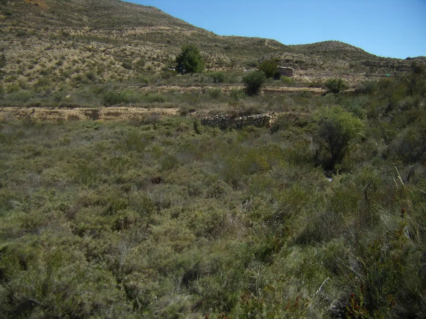 Terreno rustico in vendita a Partida Tossal Redó, imagen 11