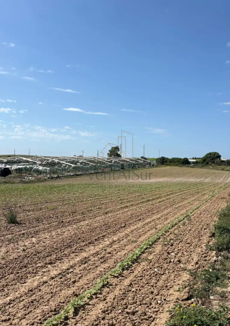 Terreno rústico en venta en Norte - Blanca Paloma, imagen 4