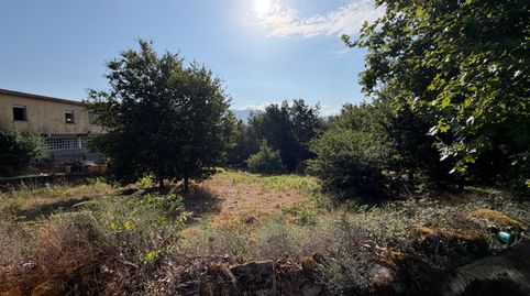 Finca urbanizable a 15 minutos de Ourense ( Barra de Miño ), immagine 4