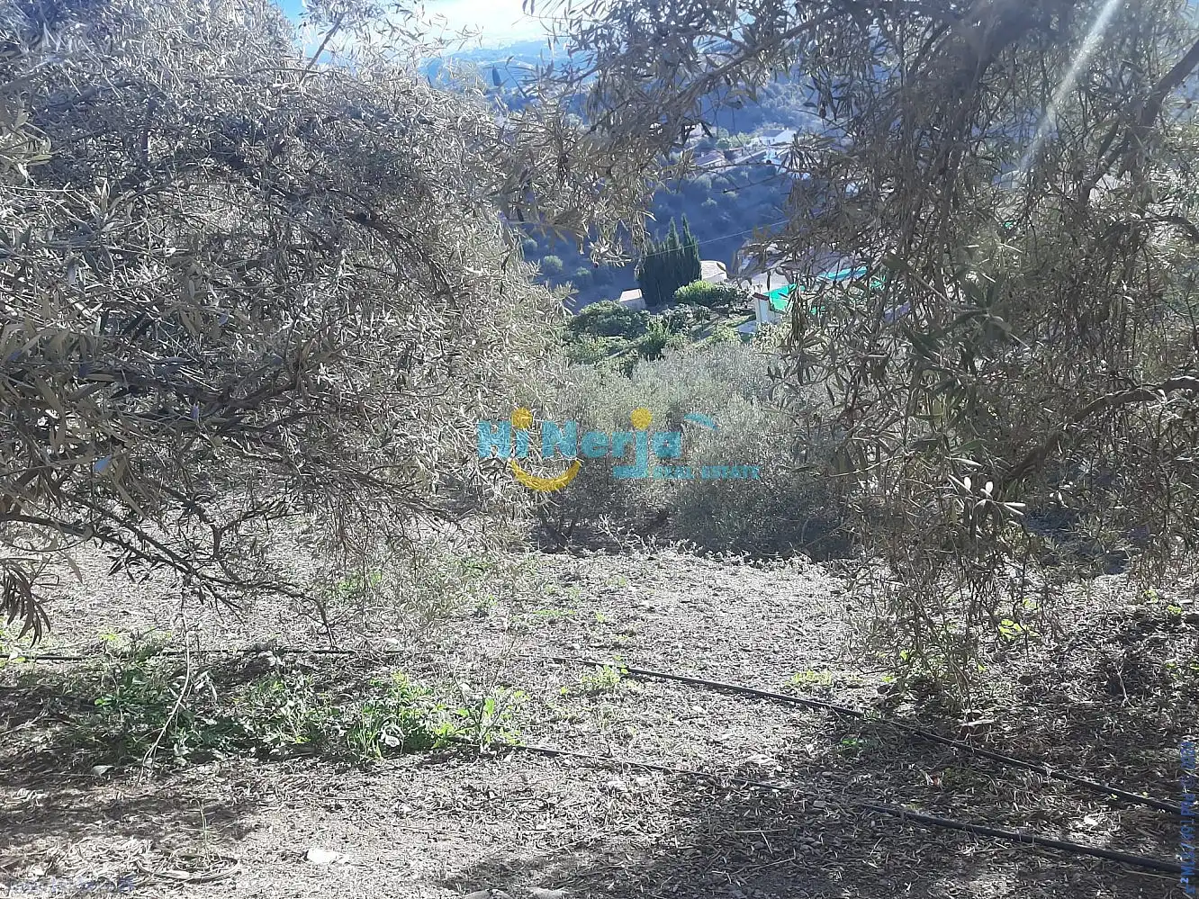 Terreni e lotti in vendita a Torrox Pueblo, imagen 15