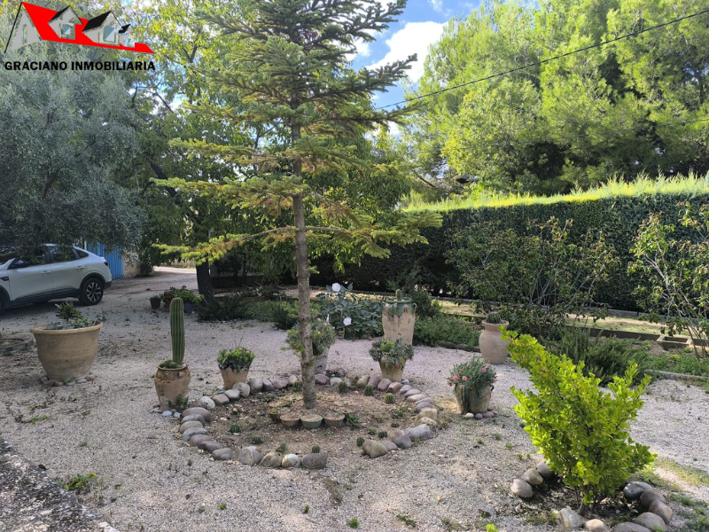 Garden of House or chalet for sale in  Albacete Capital  with Private garden, Storage room and Swimming Pool