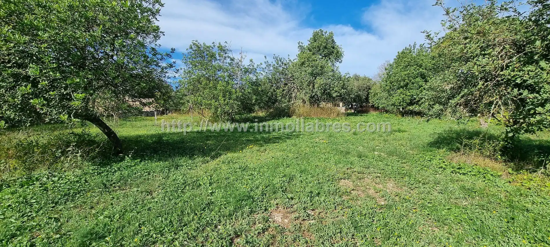 Country house for sale in Sencelles, imagen 8