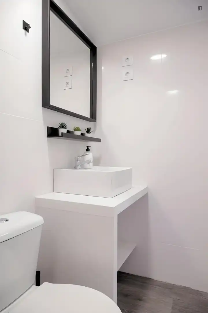 Study for rent in Opañel