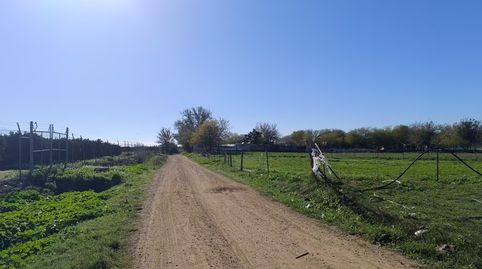 🌿 Parcela Rústica en Venta – El Sainar (Camino de La Encrucijá), La Algaba – Sevilla 🌿, Bild 5