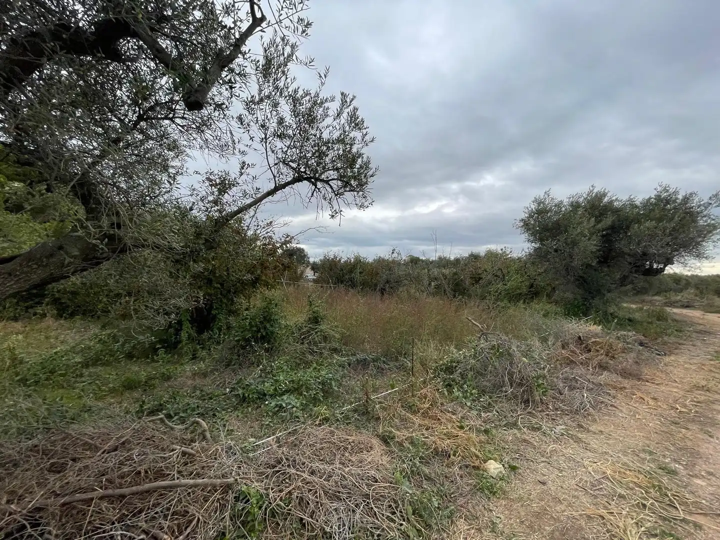 Terreno en venta en Cambrils