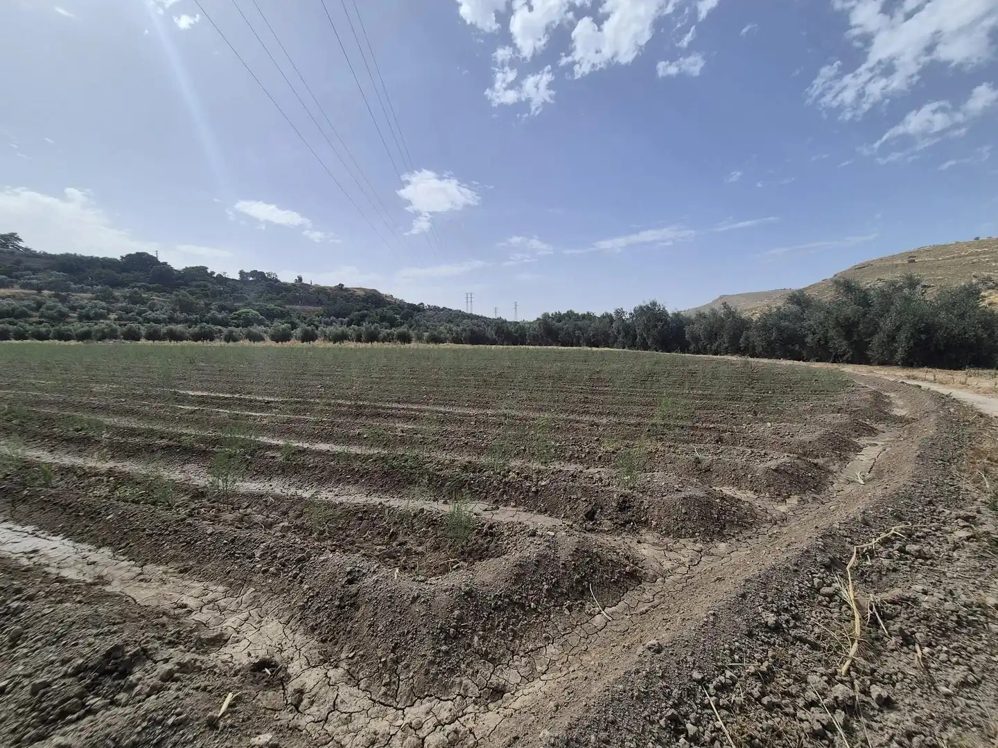 Terrain résidentiel à vendre à Loja, imagen 10