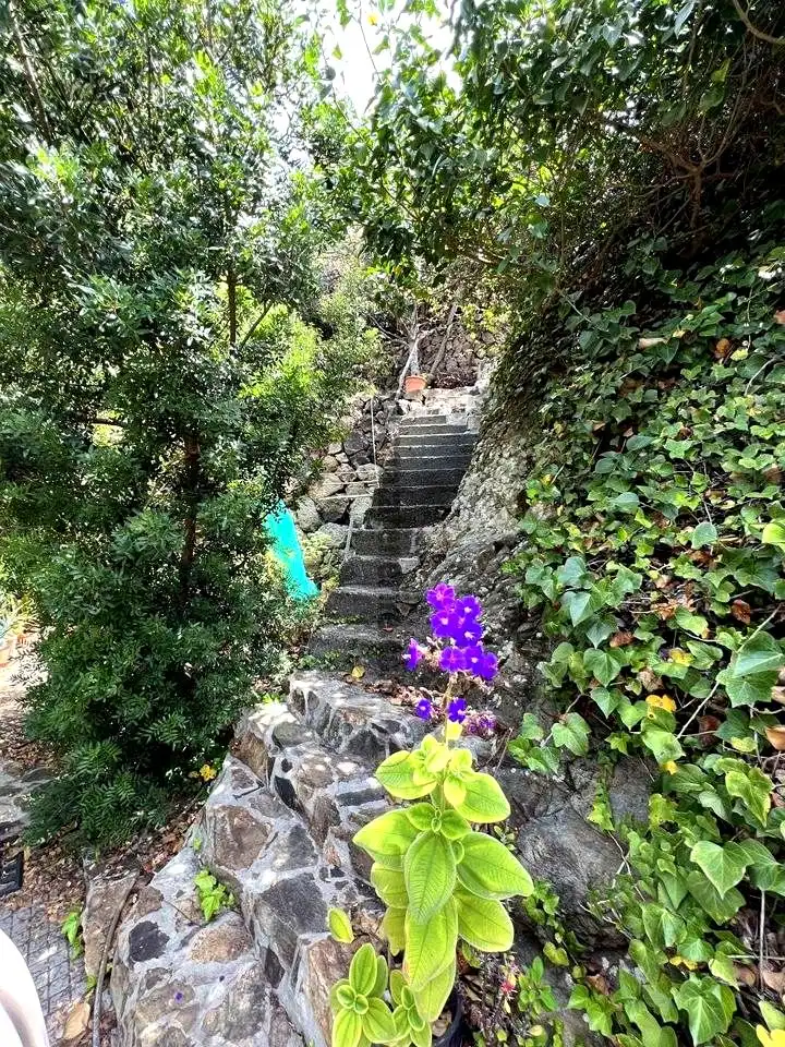 Vista exterior de Finca rústica en venta en Vallehermoso con Aire acondicionado, Calefacción y Jardín privado