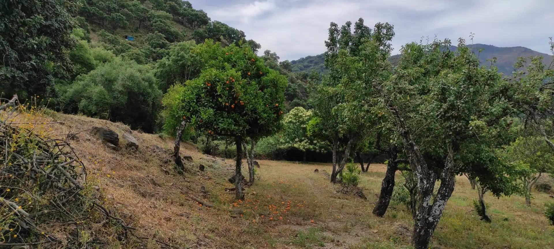 Terreni e lotti in vendita a Polígono polígono, imagen 6