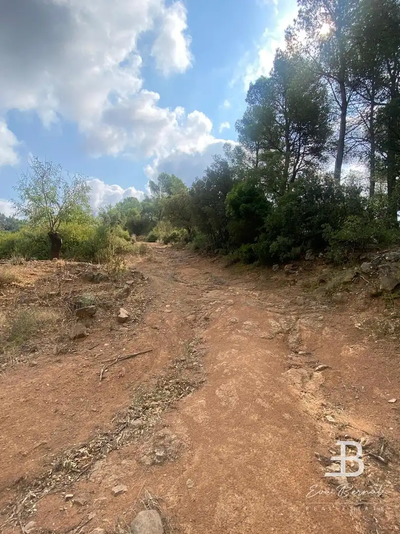 Terreny rústic en venda a Alforja, imagen 15