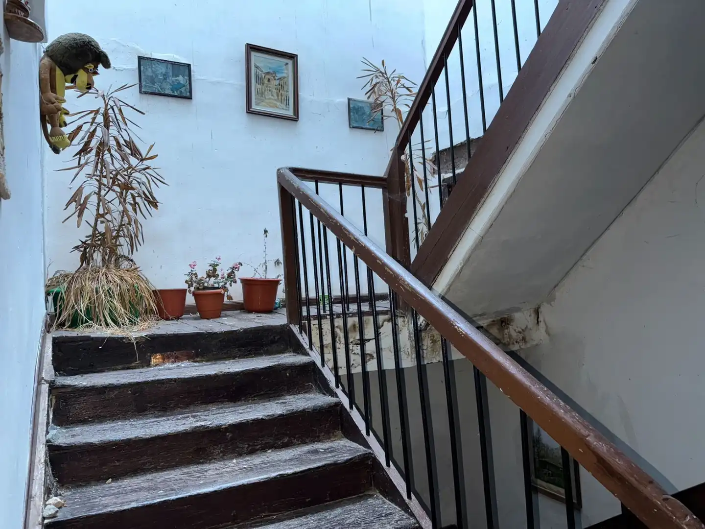 Appartamento in vendita a Diseminados, imagen 12