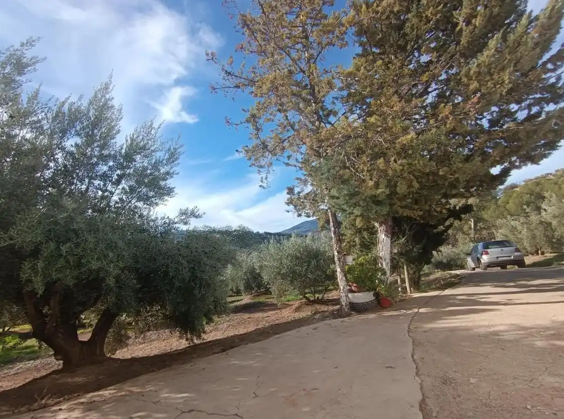 Terreni e lotti in vendita a Las veletas