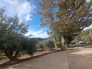 Terrenos y solares en venta en Las veletas