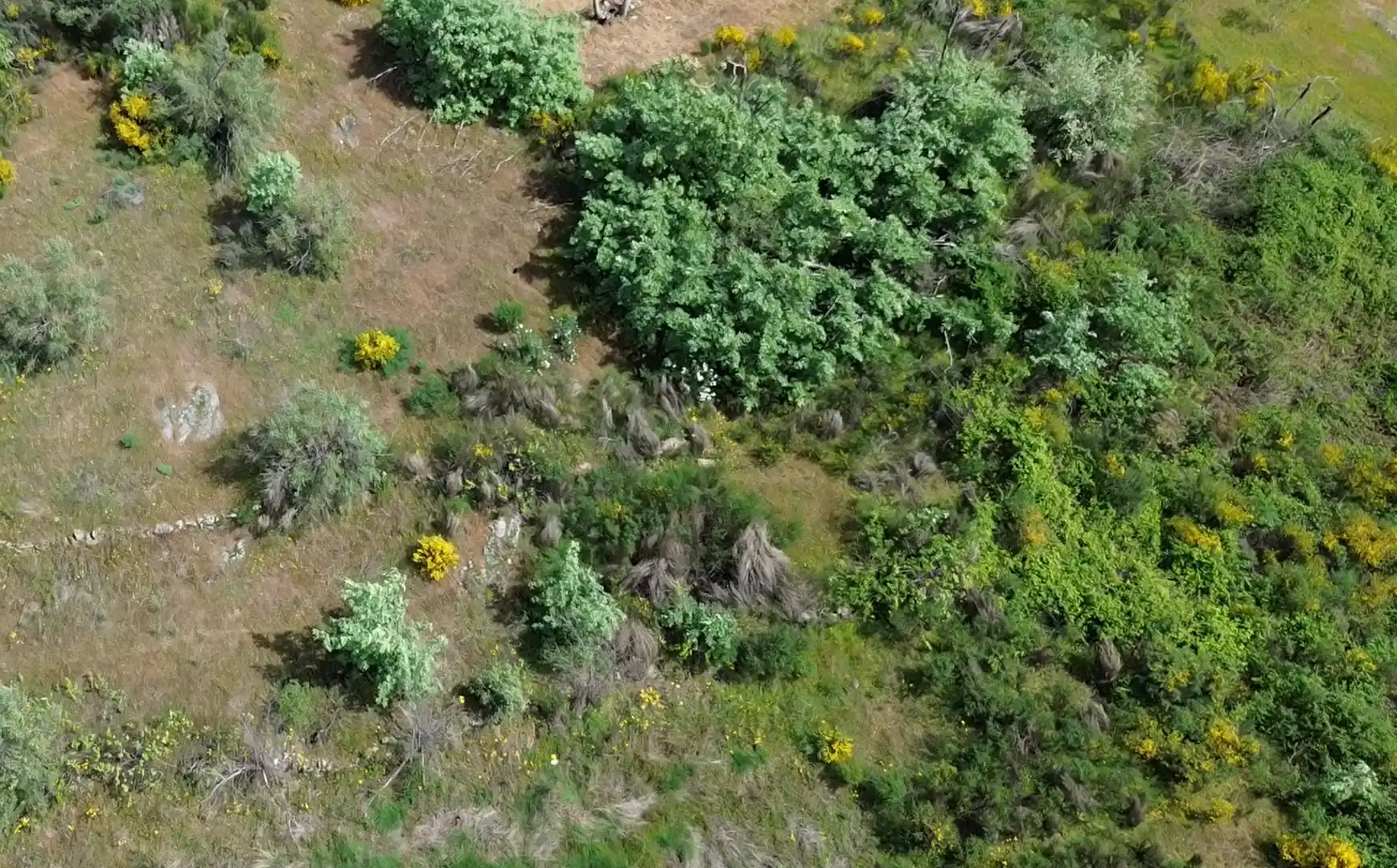 Terreni e lotti in vendita a Viandar de la Vera, imagen 7