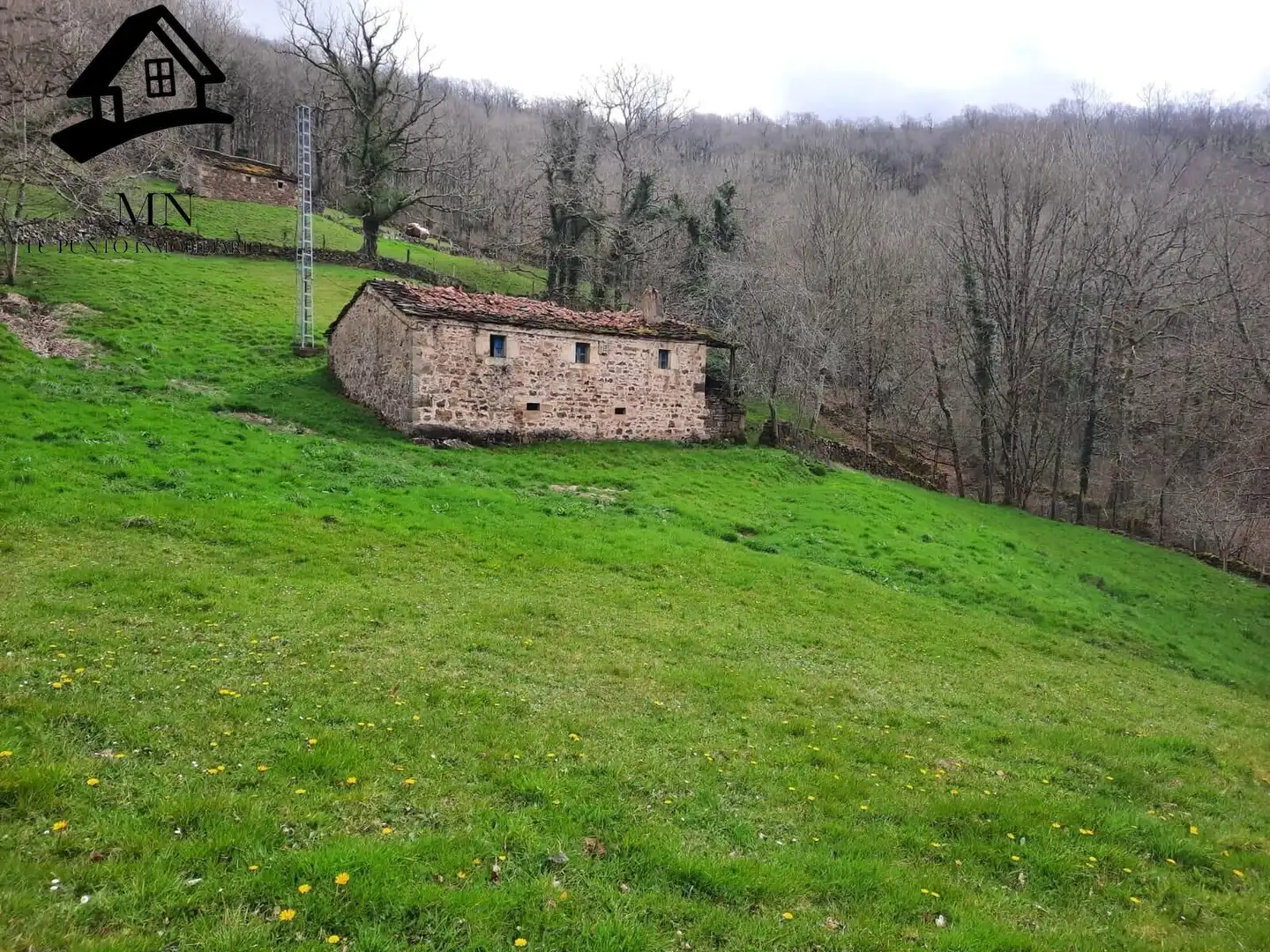Casa rústica amb jardí en venda a San Pedro del Romeral