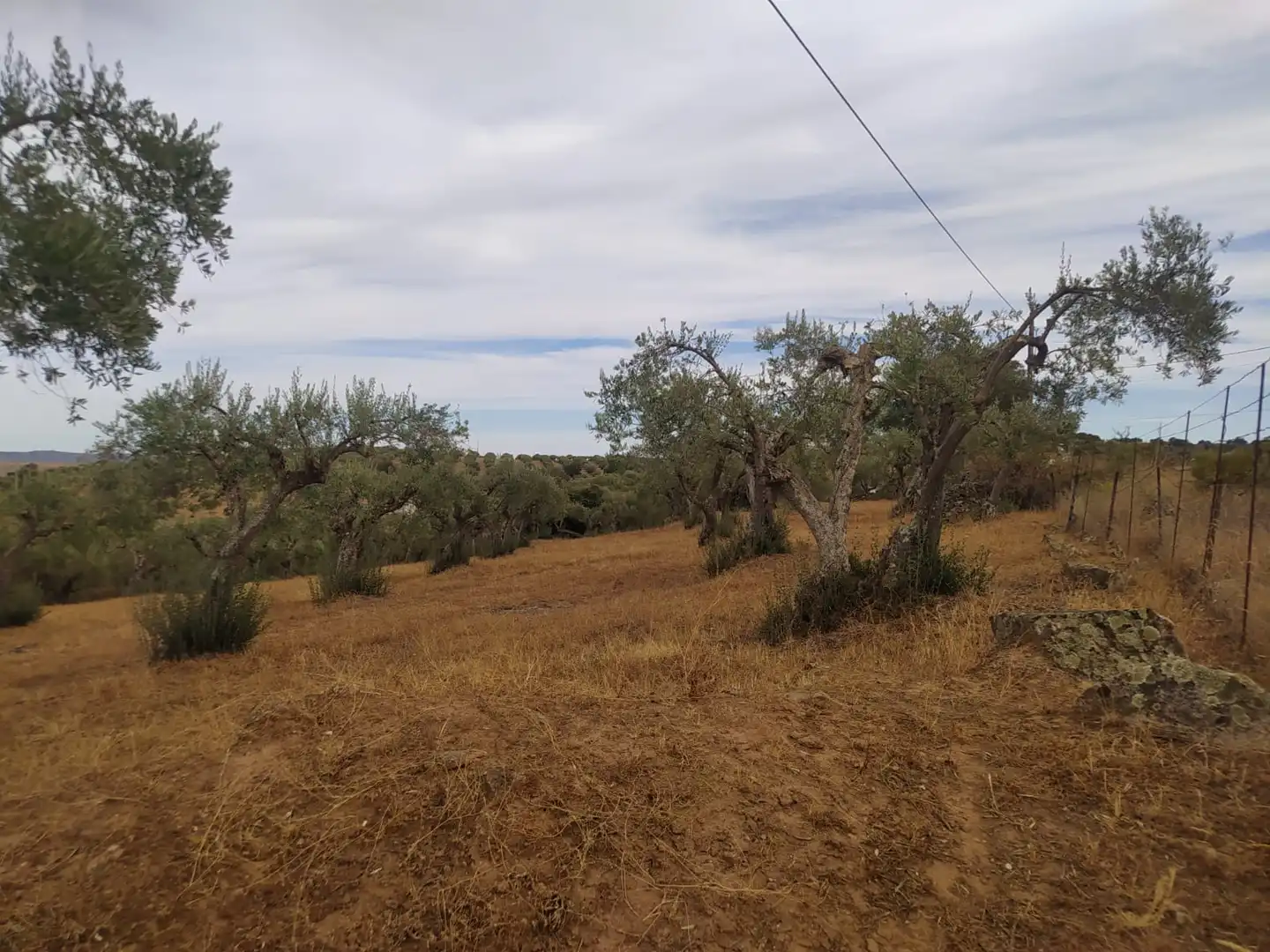 Terreni e lotti in vendita a Valencia de Alcántara, imagen 19