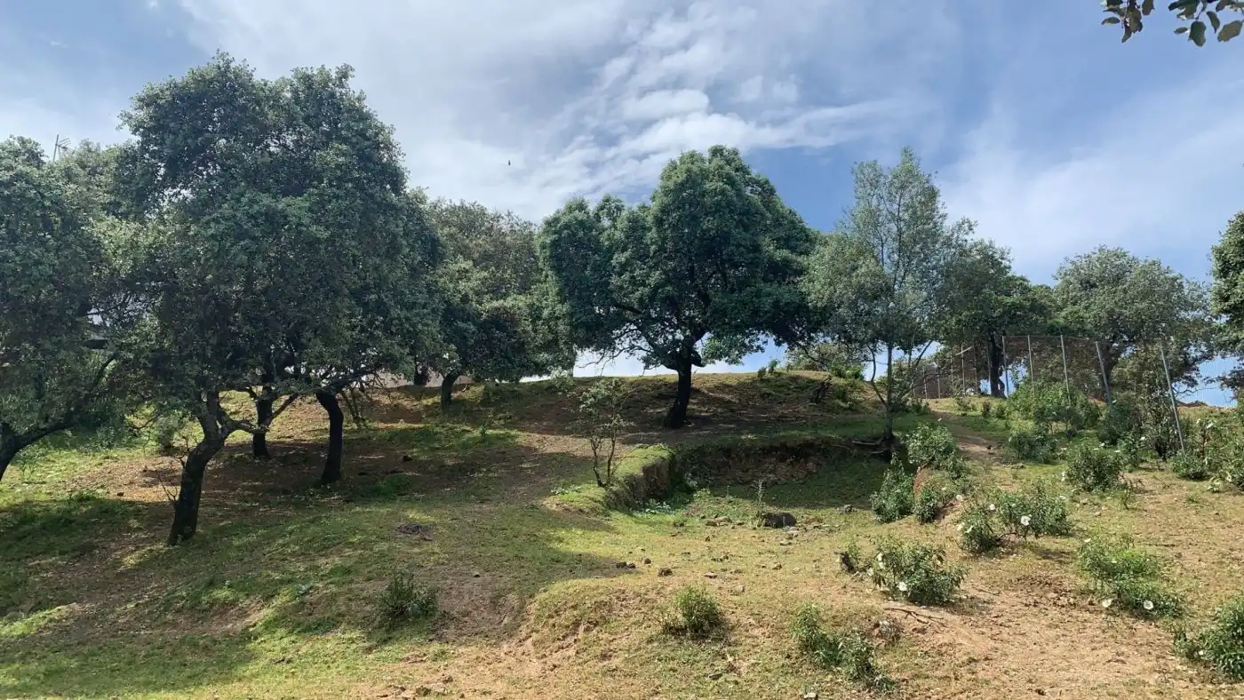 Residential land for sale in Periurbano Norte