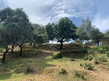 Terreno residencial en venta en Periurbano Norte