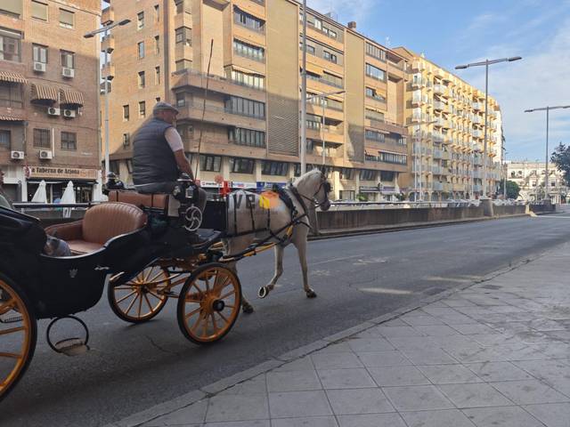 Local comercial en Alquiler en Arenal - Museo