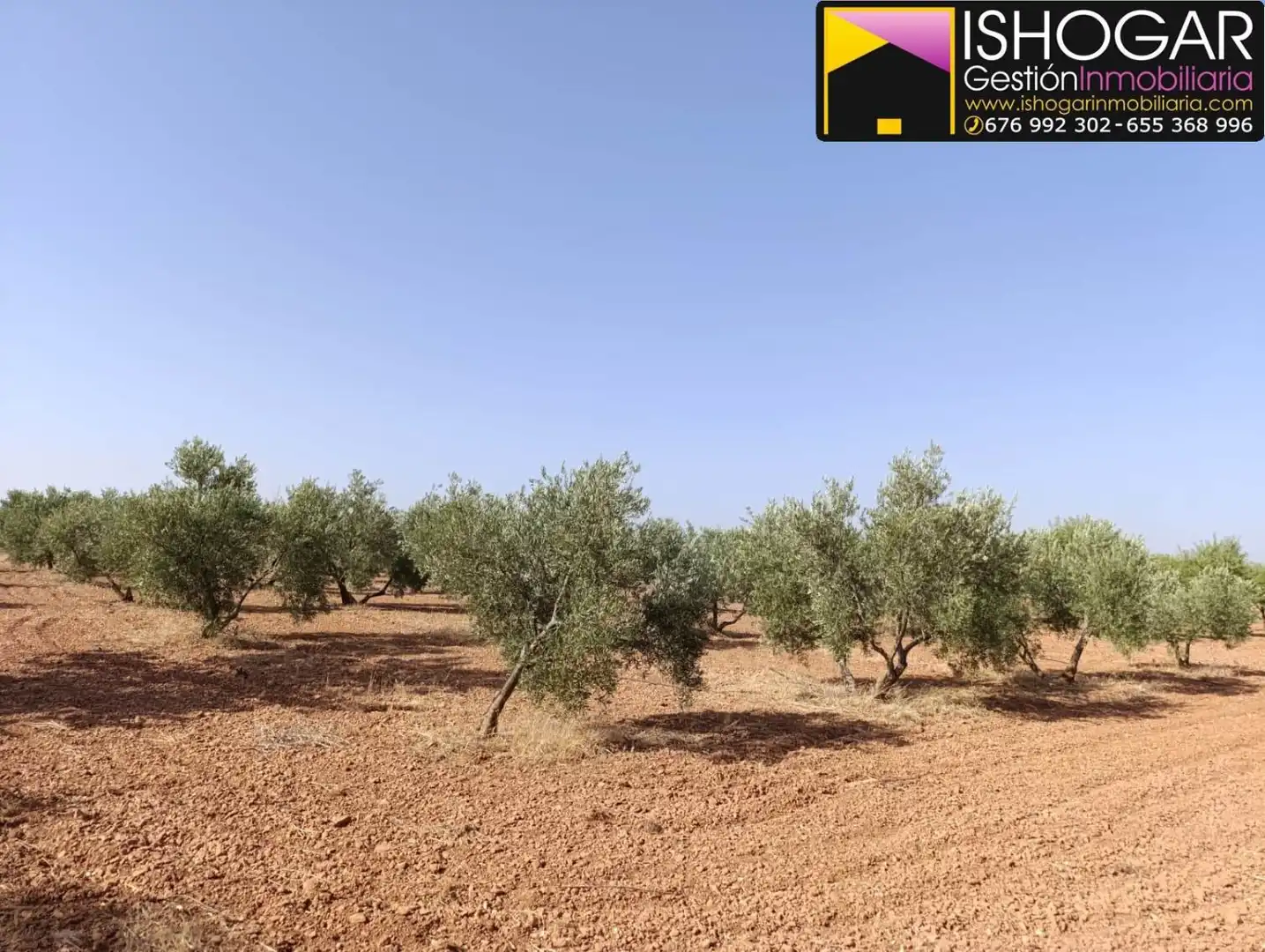 Finca rústica en venta en Valdepeñas