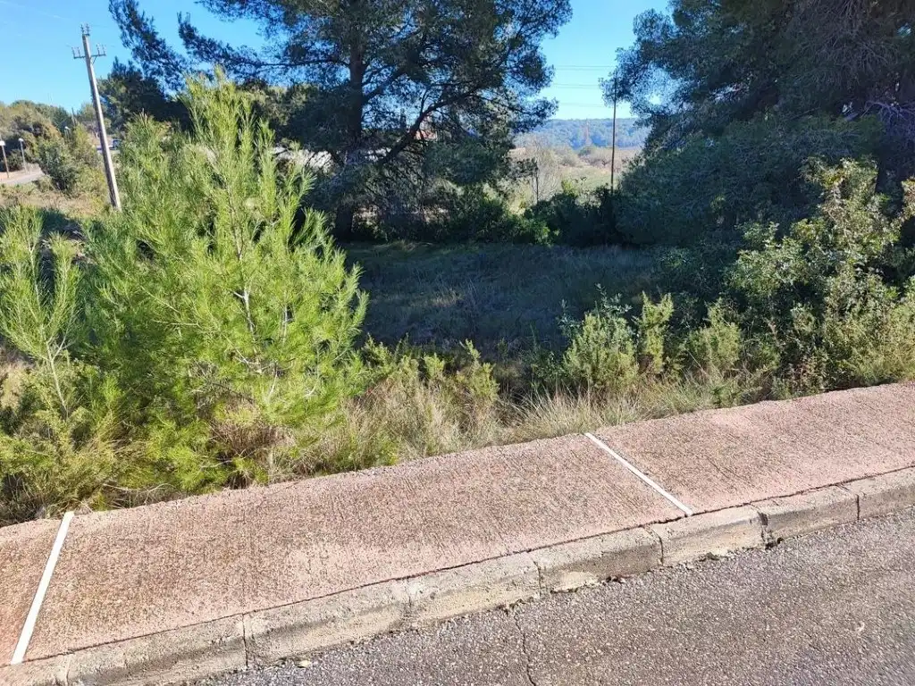 Terreno residencial en venta en Calle Ceps Dels, imagen 16