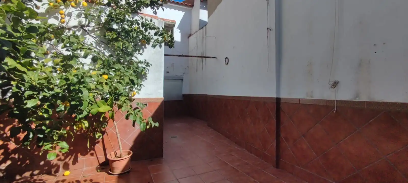 Vista exterior de Casa adosada en venta en Pedroche con Trastero