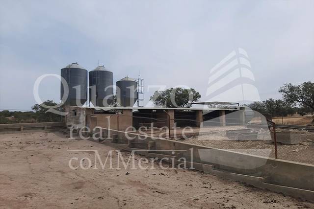 Finca rústica en Venta en Herrera de Alcántara