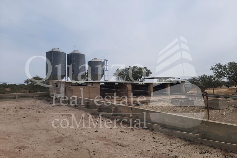 Exterior view of Country house for sale in Herrera de Alcántara