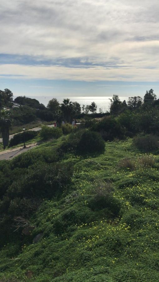 Industrial land for sale in Sotogrande