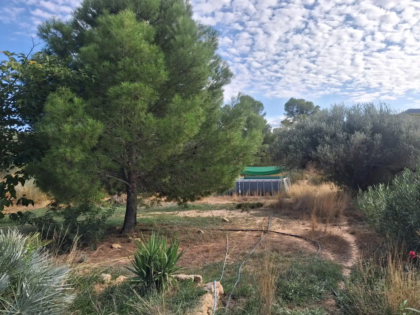 Chalet en venta en Polígono 5 Paraje 127 334, imagen 33