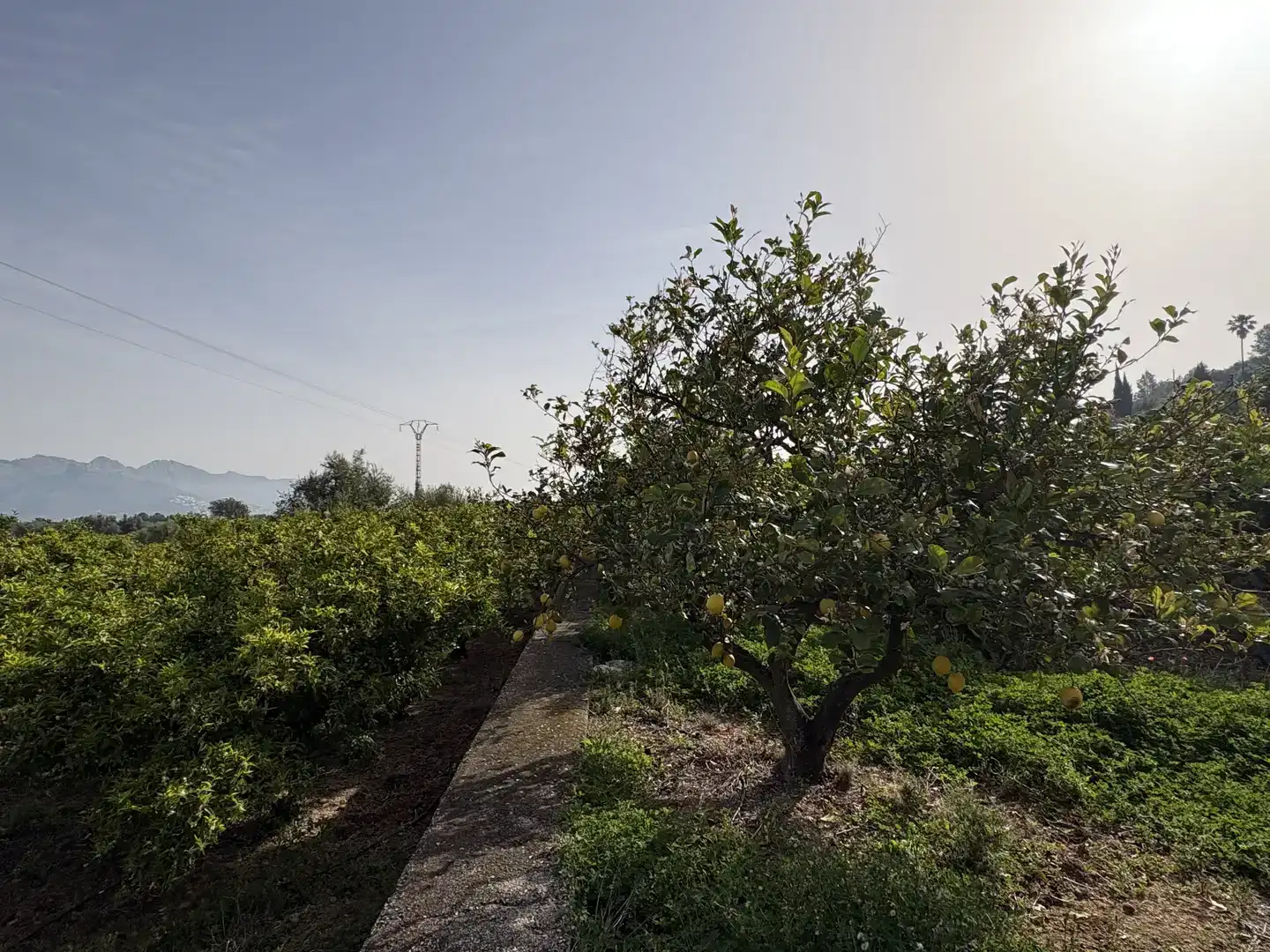 Finca rústica en venda en Orba amb Jardí privat, Traster i Moblat