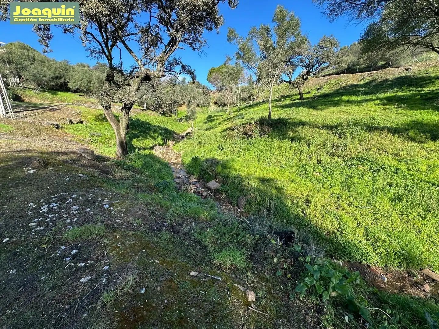 Grundstücke und Bauplätze zum Verkauf in Periurbano Este - Campiña, imagen 9