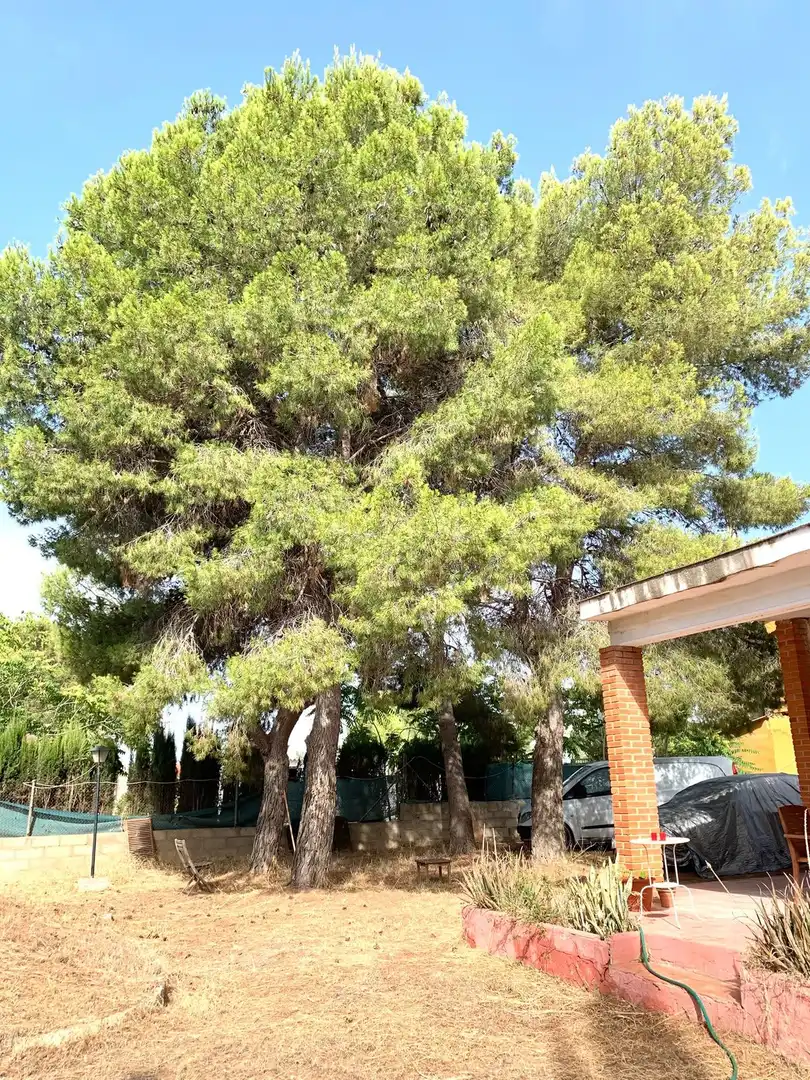 Casa con giardino in vendita a Avenida Peral, imagen 6